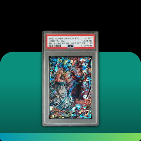 [PSA10] BM12-LSEC Gogeta