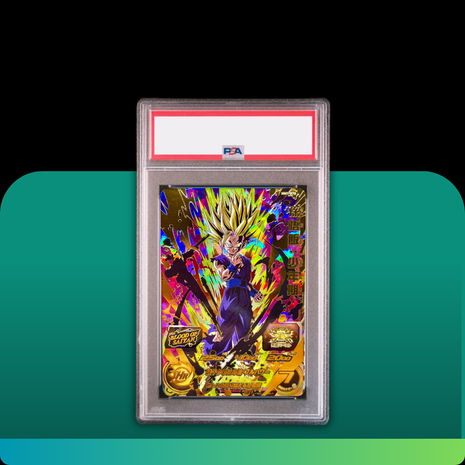 [PSA10] MM1-070 Gohan