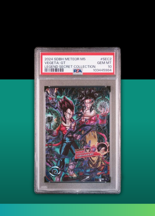 [PSA10] HJ4-SEC2 LC Vegeta