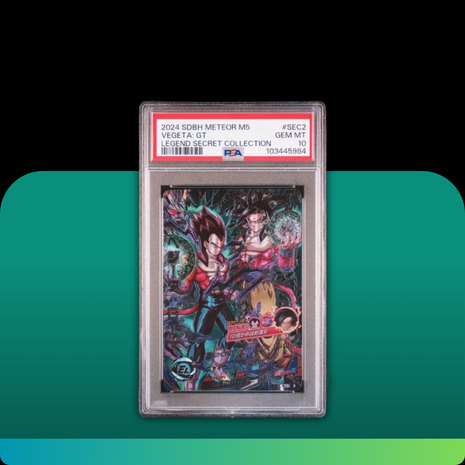 [PSA10] HJ4-SEC2 LC Vegeta