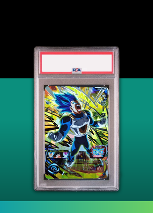 [PSA10] MM5-SEC2 Vegeta