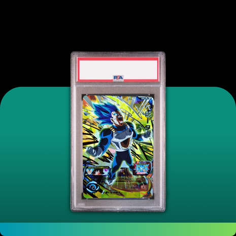 [PSA10] MM5-SEC2 Vegeta