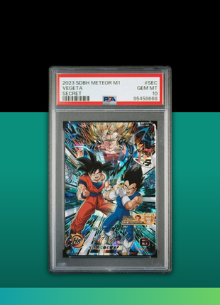 [PSA10] MM1-SEC Vegeta